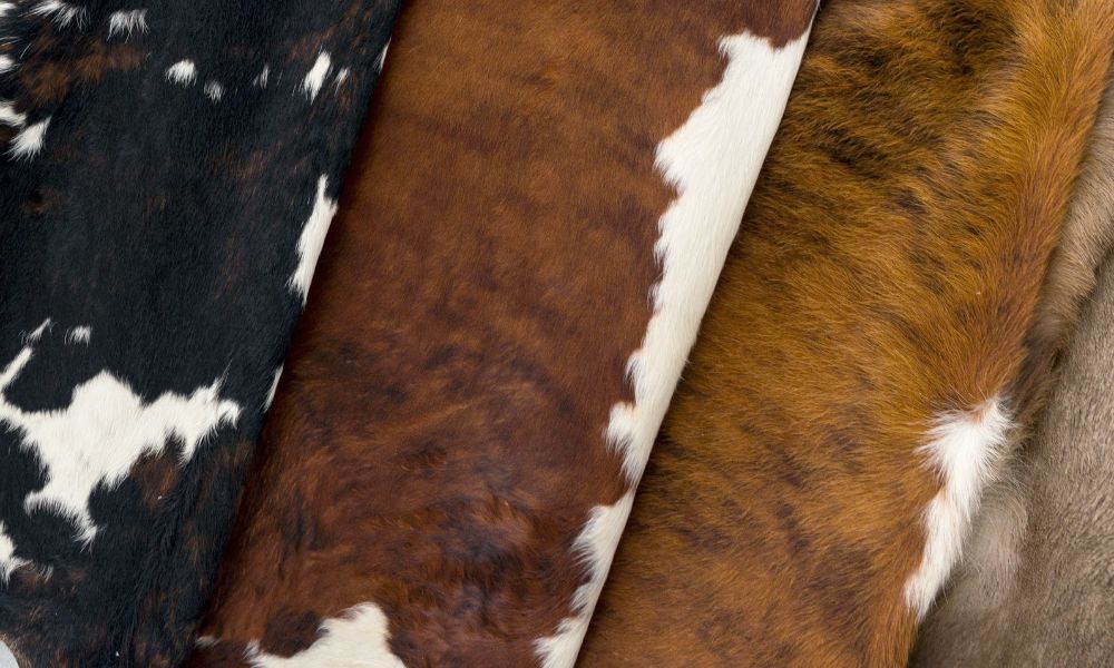 Buffalo vs. Cow Hide Leather: Which Is Best for Making Bags?