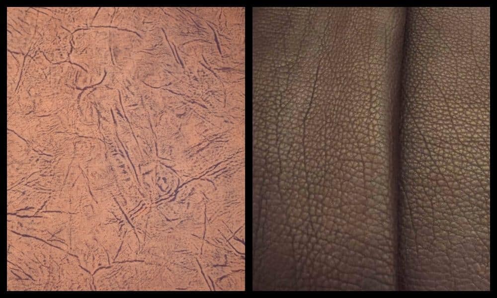 The Difference Between Bison and Buffalo Leather