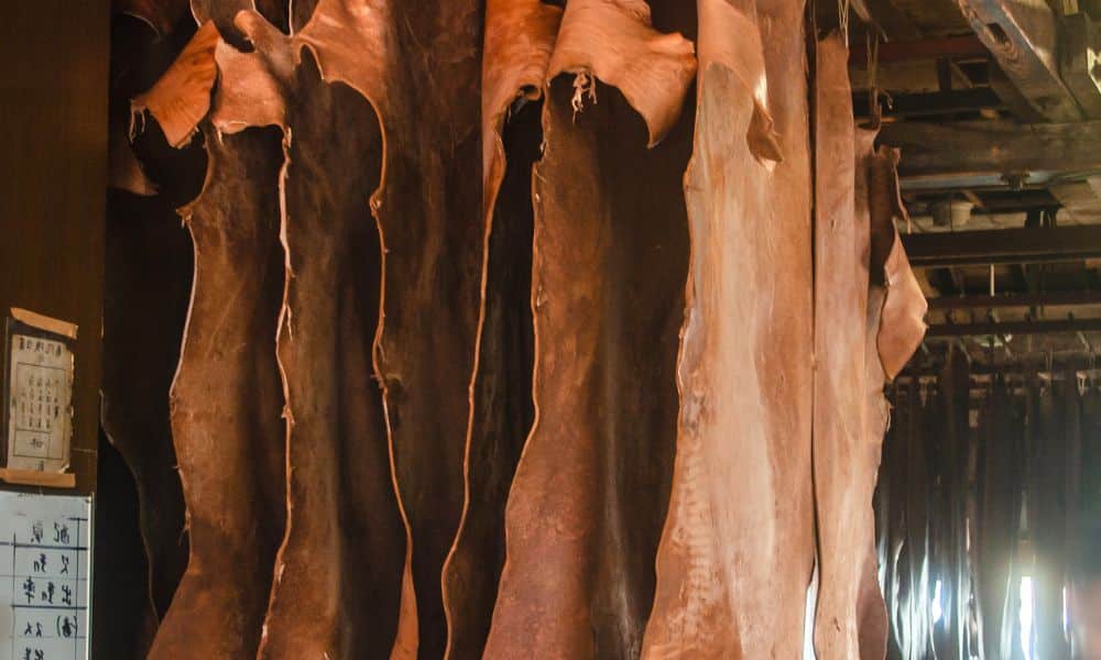 How To Make Sure Your Buffalo Leather Is Real