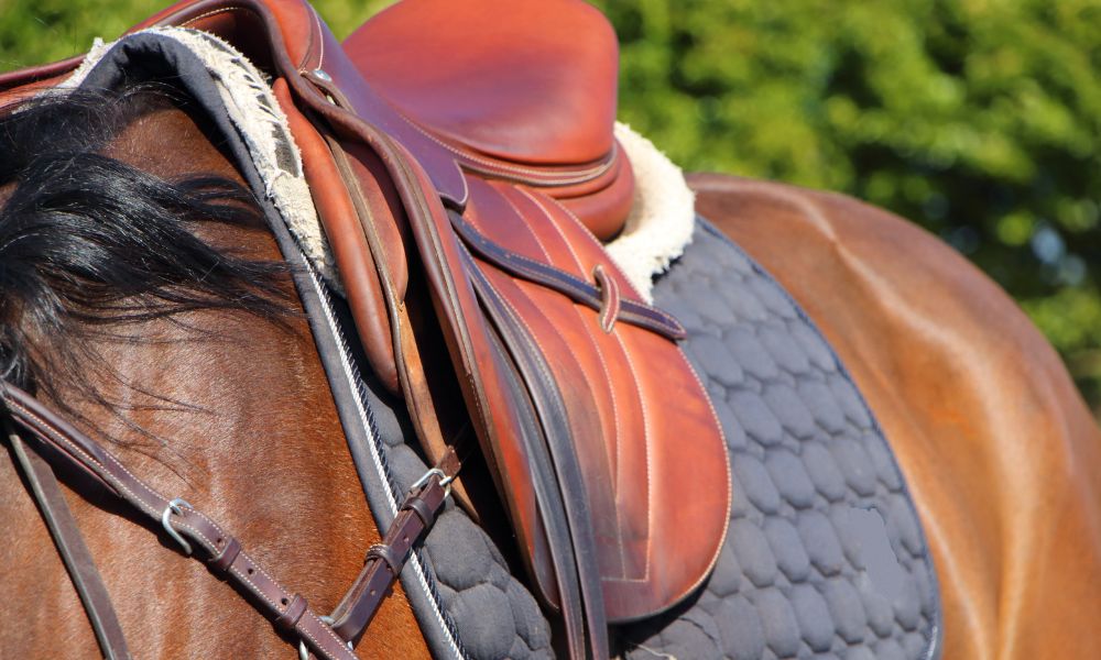 5 Pieces of Saddlery Hardware You Should Have