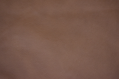 Earth Tone Bison Upholstery - Image 3