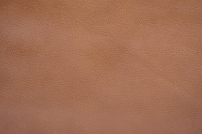 Earth Tone Bison Upholstery - Image 5